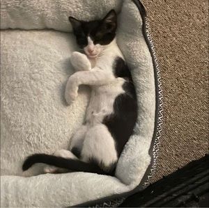 Meet your Posher, Corazoncito